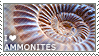 A stamp of an ammonite fossil that reads 'I love ammonites'