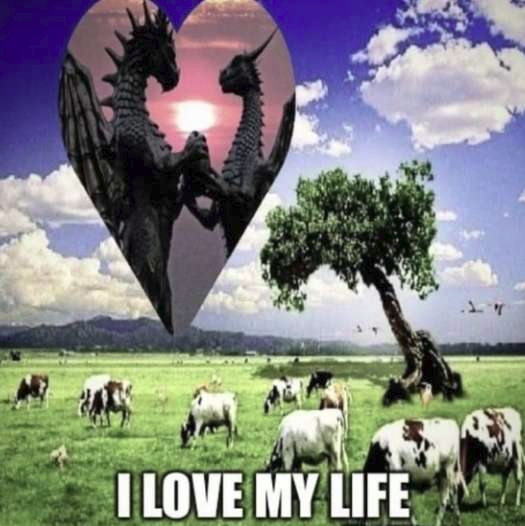 Dragons who 'love their life'