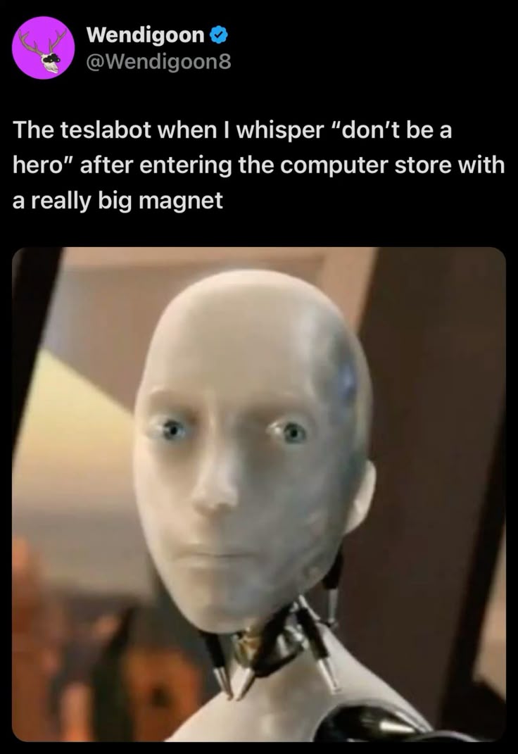 Wendigoon tweet that reads 'the teslabot when I whisper don't be a hero after entering the computer store with a really big magnet'